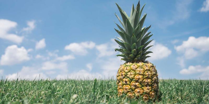 创业公司如何搭建高效董事会：赋能团队技能培训与职业发展的启航人