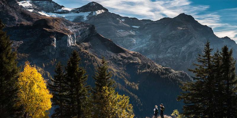 创业指导：启航人必知的法律风险防控全流程，从公司注册到合同审核