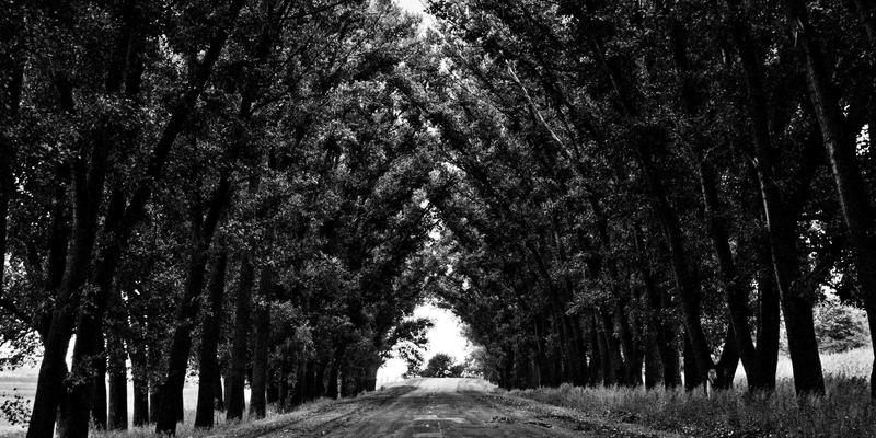 创业服务28：职业发展与资源对接的双引擎，如何驱动创业成功