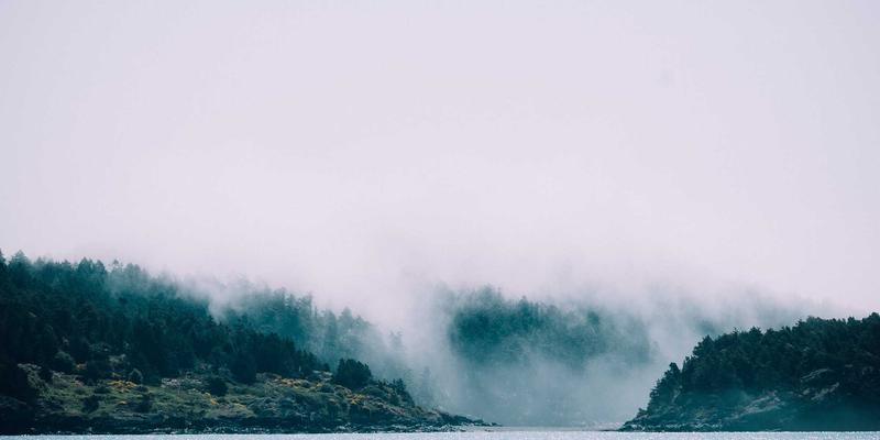 创业服务54：融合创业指导、职业发展与技能培训的黄金三角