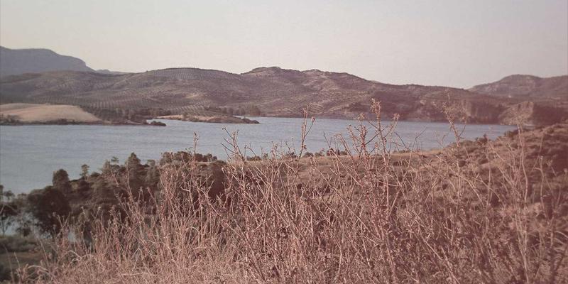 创业服务与指导：初创企业如何通过知识产权战略布局保护核心技术并构建竞争壁垒