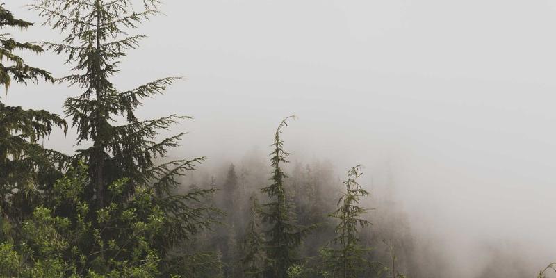 创业服务怎么用？解锁创业指导、职业发展与启航人的黄金三角