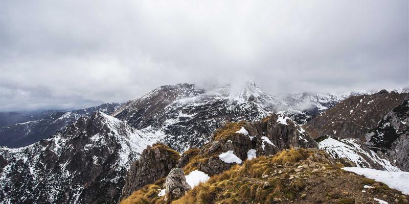 创业服务新生态：启航人如何高效对接政府资源，成功申请政策补贴与产业扶持资金