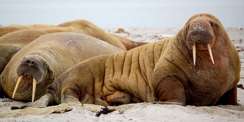 创业服务新生态：技能培训、资源对接与职业规划如何赋能创业者