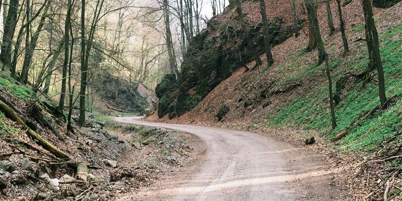 初创企业股权设计与期权激励全指南：从资源对接到启航人培养，赋能团队成长