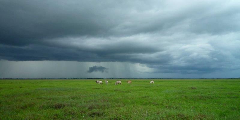 启航人必读：如何用大数据与人工智能优化创业决策与商业模式创新
