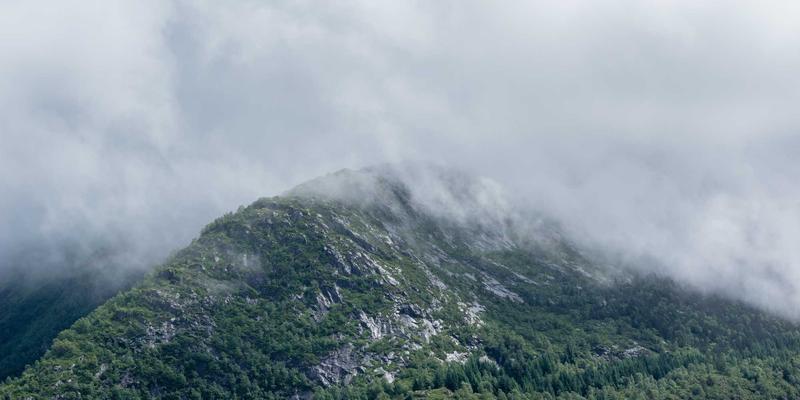 如何利用政府创业扶持政策与补贴降低启动成本：资源对接、创业服务与技能培训全攻略