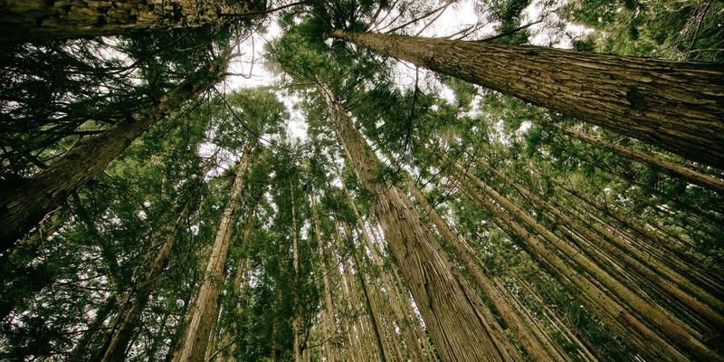 构建客户成功体系：SaaS创业公司如何通过技能培训、职业规划与资源对接降低流失率