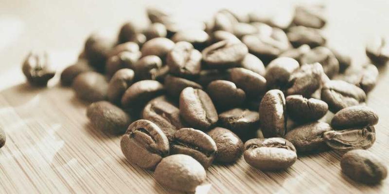 社会企业创业模式解析：以技能培训为支点，平衡社会价值与商业可持续性