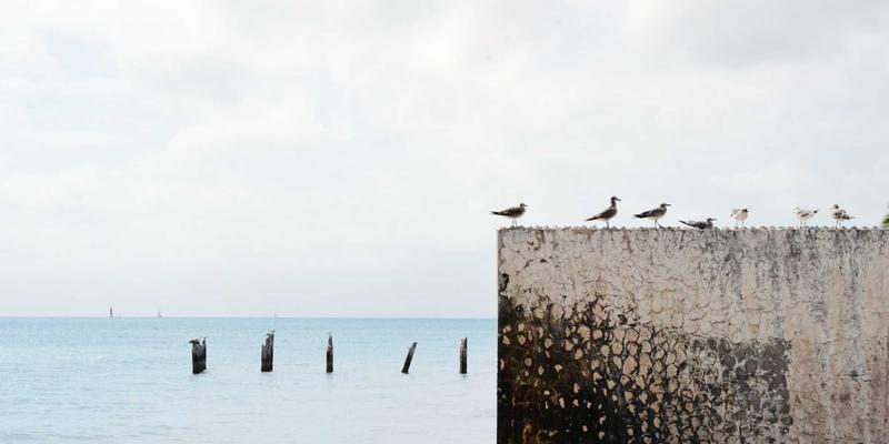 科技创业公司如何通过知识产权布局保护核心资产？创业服务、技能培训与资源对接的关键策略