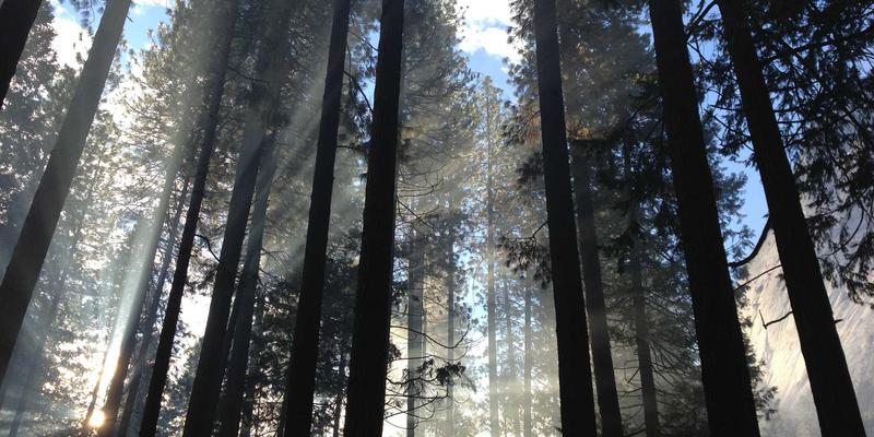 资源对接如何成为创业服务的核心引擎？启航人必知的三大关键
