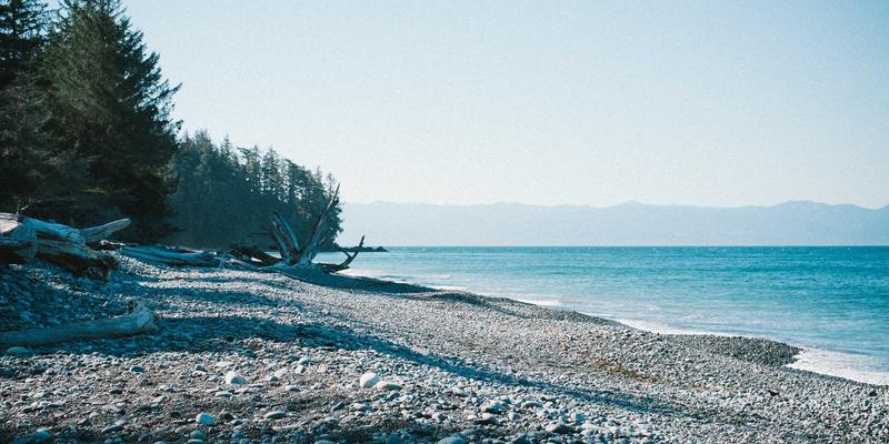 远程创业团队管理指南：从工具选择到文化凝聚的实战策略 | 创业指导与资源对接